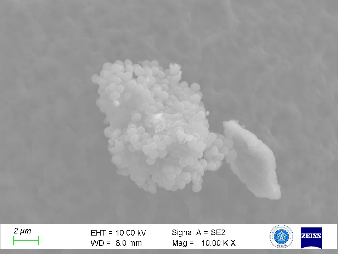 SEM image of OTTOCAPS microcapsules at 2µm scale